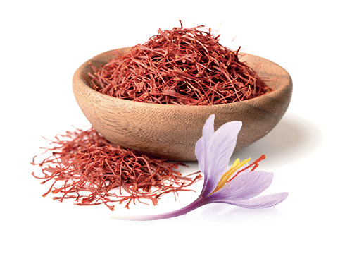 racine ginseng